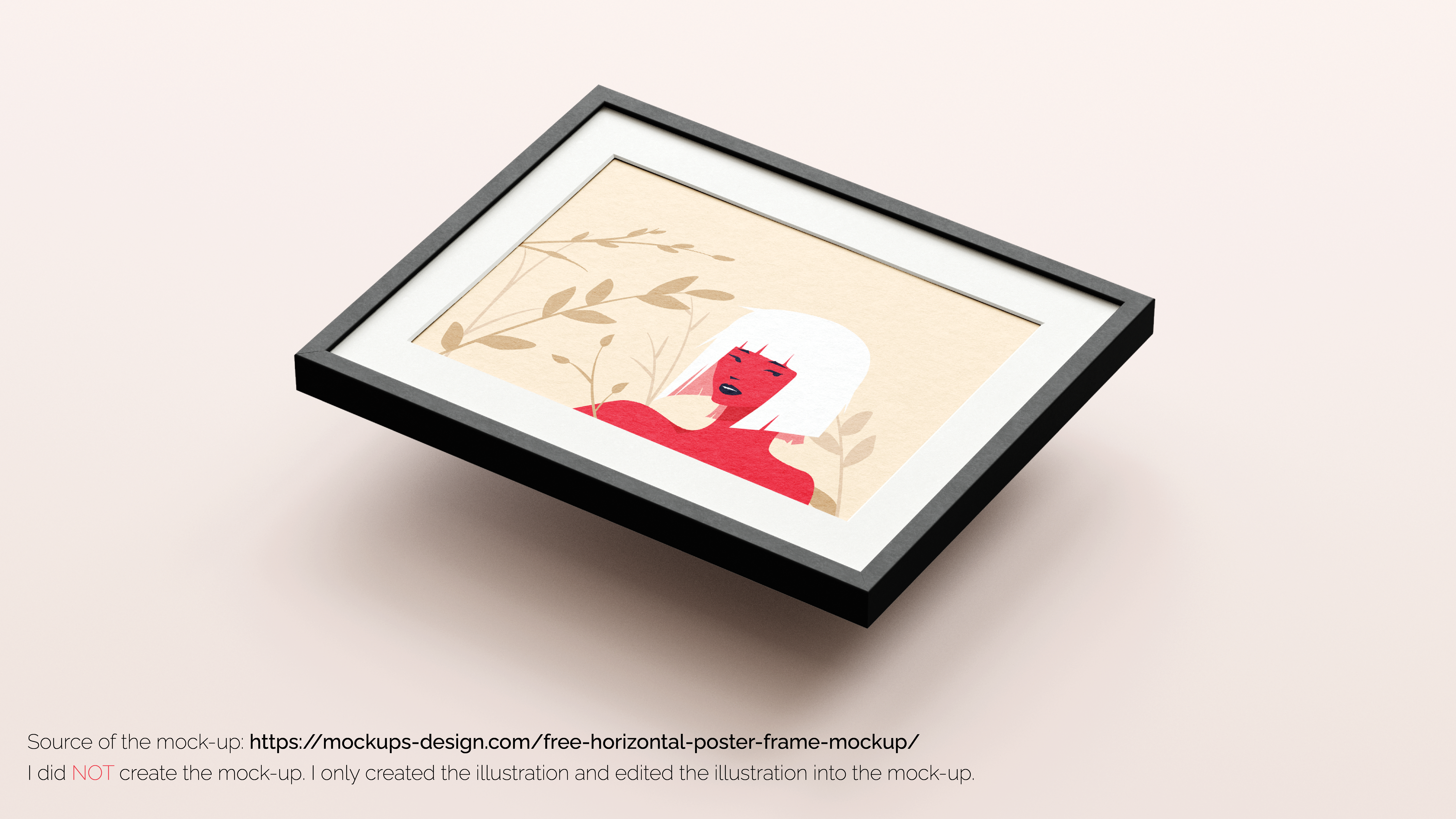 Image with information about illustration